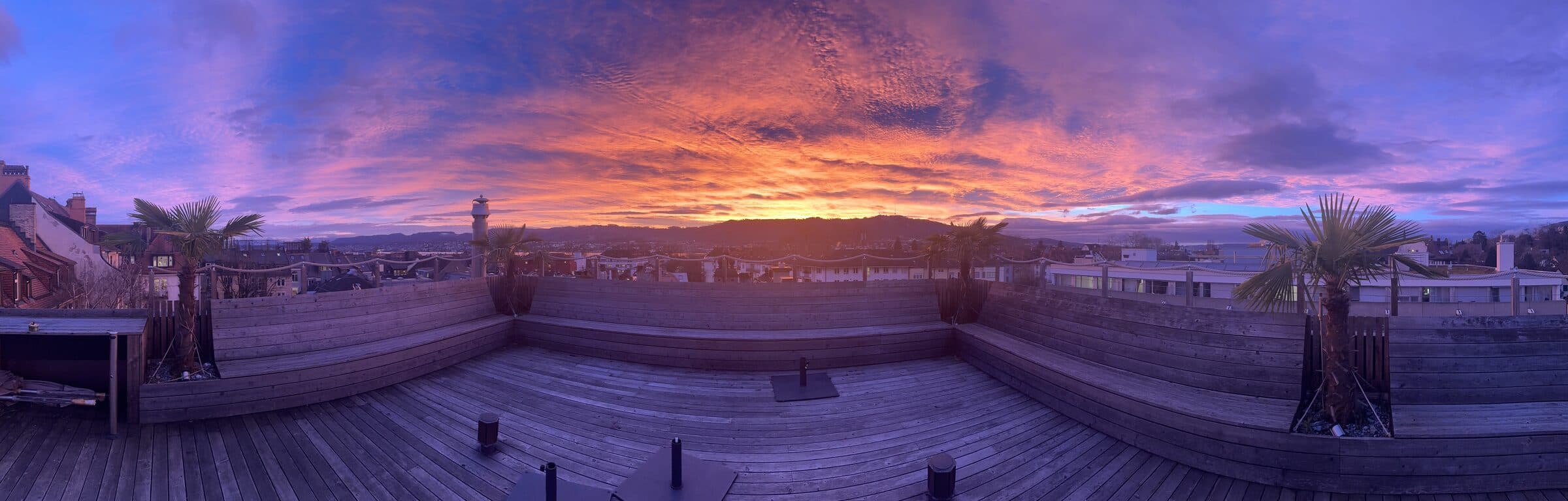 Panorama of the roof deck with palms at sunset